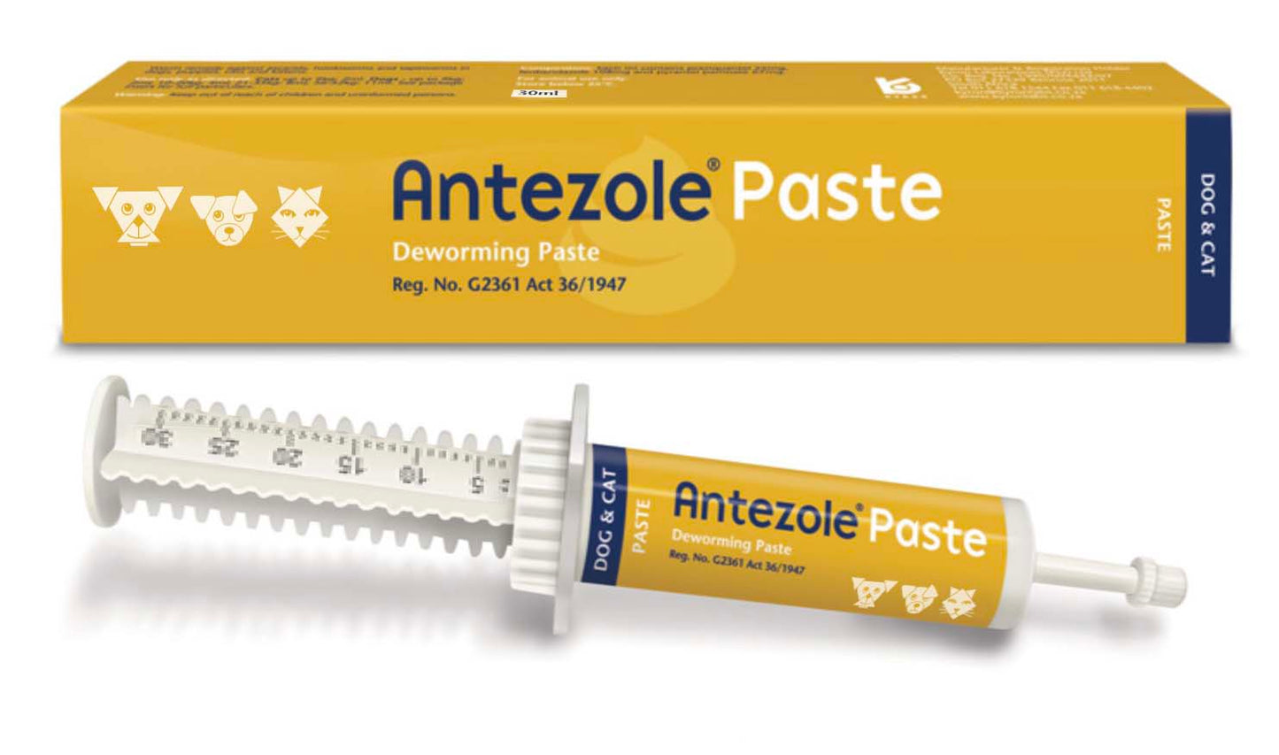 ANTEZOLE-PASTE-CAT-&-DOG-30ML
