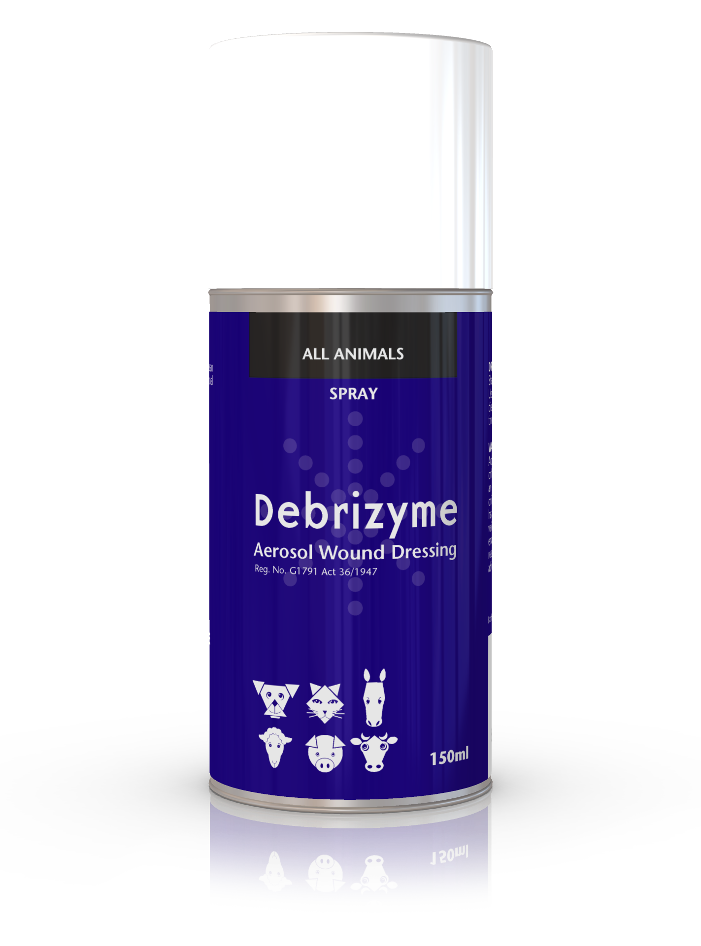 DEBRIZYME-AEROSOL-150ML