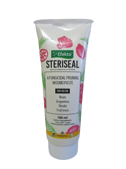 STERISEAL-100G