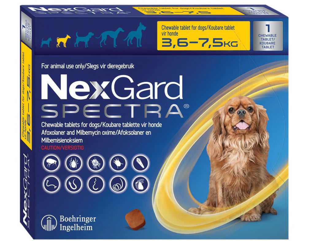 NEXGARD-SPECTRA-S-DOG-3-7-KG-1-CHEW