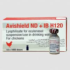 AVISHIELD-B1-NEWCASTLE-ND-HITCHNER-1000D