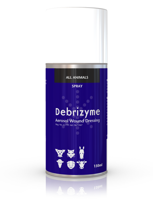 DEBRIZYME-AEROSOL-150ML