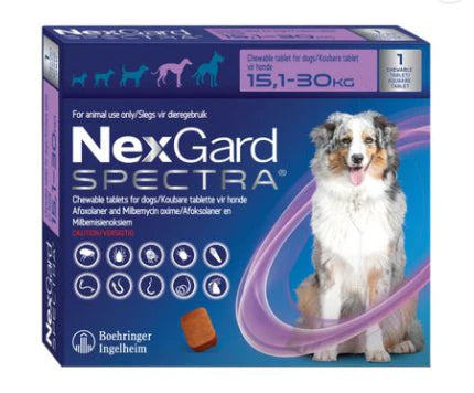 NEXGARD-SPECTRA-L-DOG-15-30-KG-1-CHEW