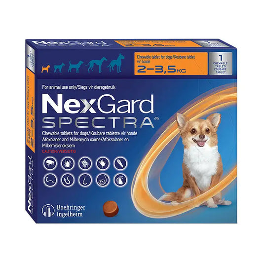 NEXGARD-SPECTRA-XS-DOG-2-5KG-1-CHEW