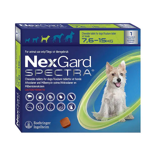 NEXGARD-SPECTRA-M-DOG-7-15-KG-1-CHEW